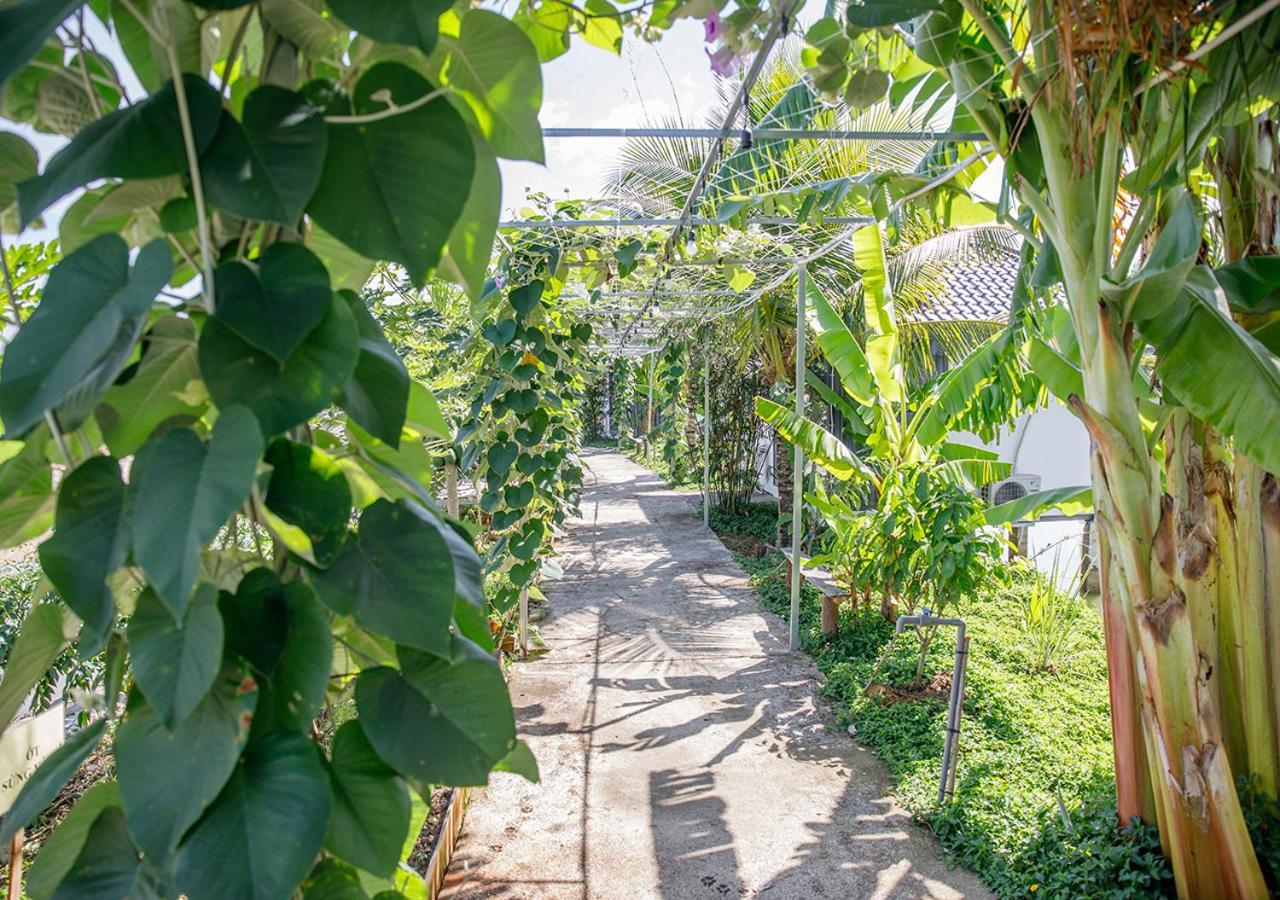Lua Farmstay Bà Rịa Buitenkant foto